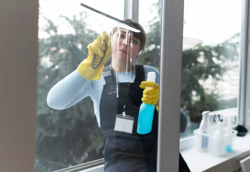 Nettoyage de vitres intérieures et extérieures à Migny